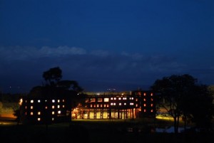 treetops4
