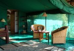 Island Camp