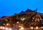 Porini Lion Camp ,Masaimara