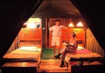Fig Tree Camp