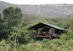 Sekenani Camp