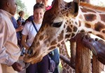 Giraffe Center,Nairobi