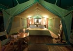 Kichwa Tembo Camp