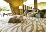 Wildebeest Camp,Nairobi